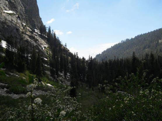 Stony Creek Lodge Sequoia National Park ภายนอก รูปภาพ