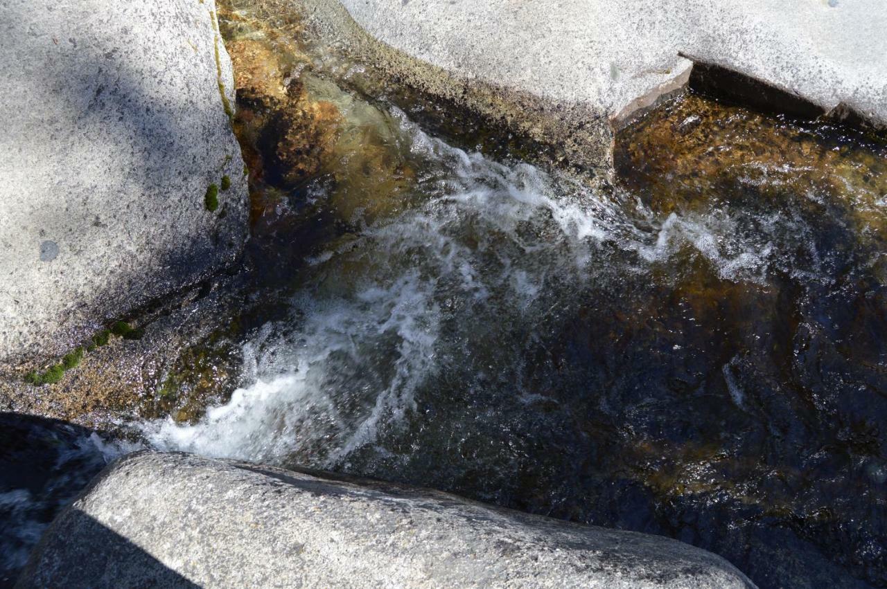 Stony Creek Lodge Sequoia National Park ภายนอก รูปภาพ